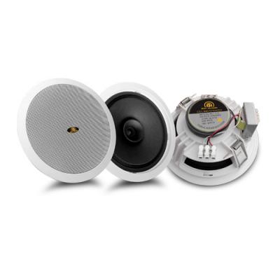 Altavoz dinámico de techo de doble cono de 6 pulgadas RH-T13